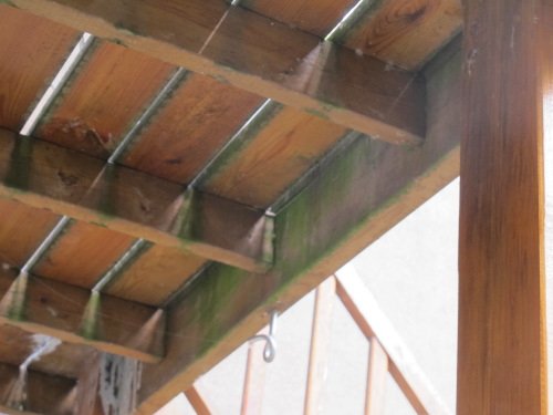 terrasse bois pourrie